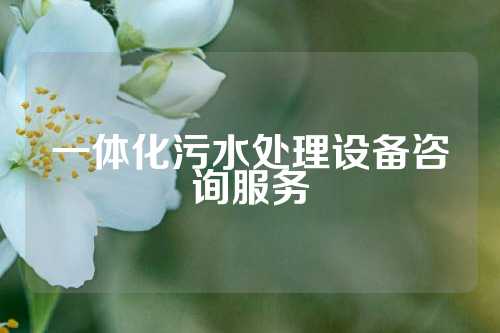 一体化污水处理设备咨询服务