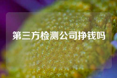第三方检测公司挣钱吗