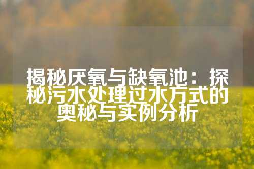 揭秘厌氧与缺氧池：探秘污水处理过水方式的奥秘与实例分析