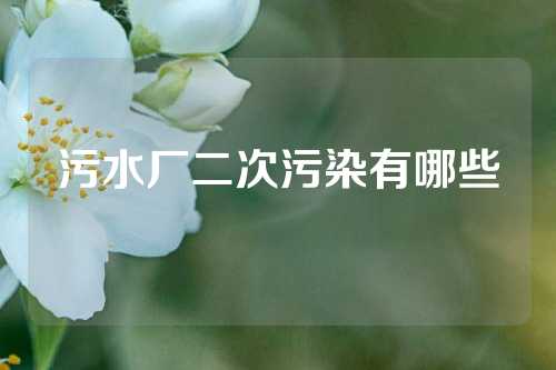 污水厂二次污染有哪些