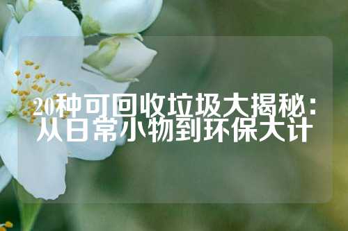 20种可回收垃圾大揭秘：从日常小物到环保大计
