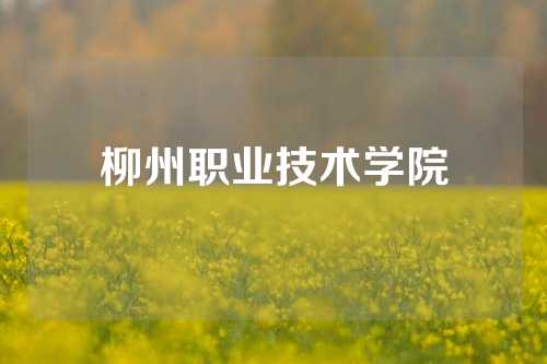 柳州职业技术学院