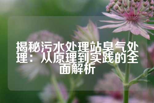 揭秘污水处理站臭气处理：从原理到实践的全面解析