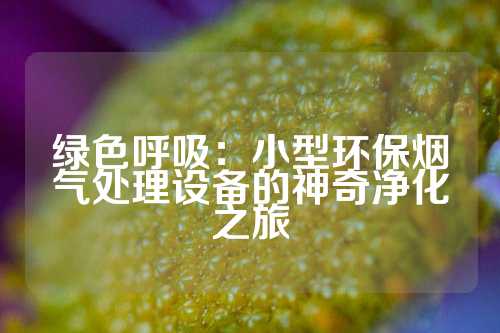 绿色呼吸：小型环保烟气处理设备的神奇净化之旅