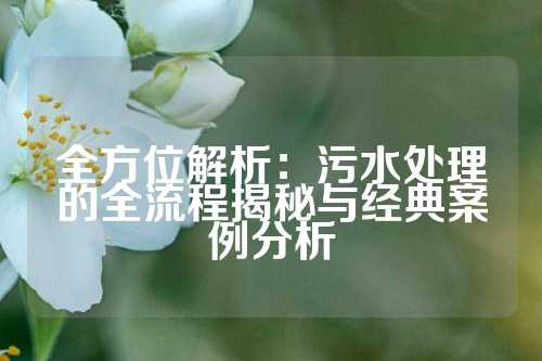 全方位解析:污水处理的全流程揭秘与经典案例分析