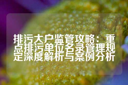 排污大户监管攻略：重点排污单位名录管理规定深度解析与案例分析