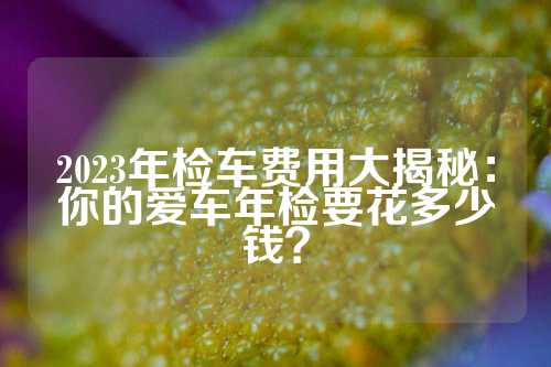 2023年检车费用大揭秘：你的爱车年检要花多少钱？